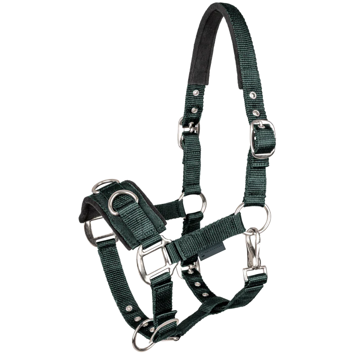 STAR Economic Lunging Halter