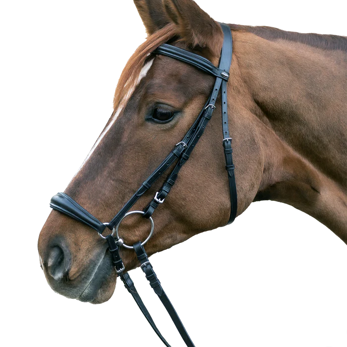 STAR Hannover Bridle