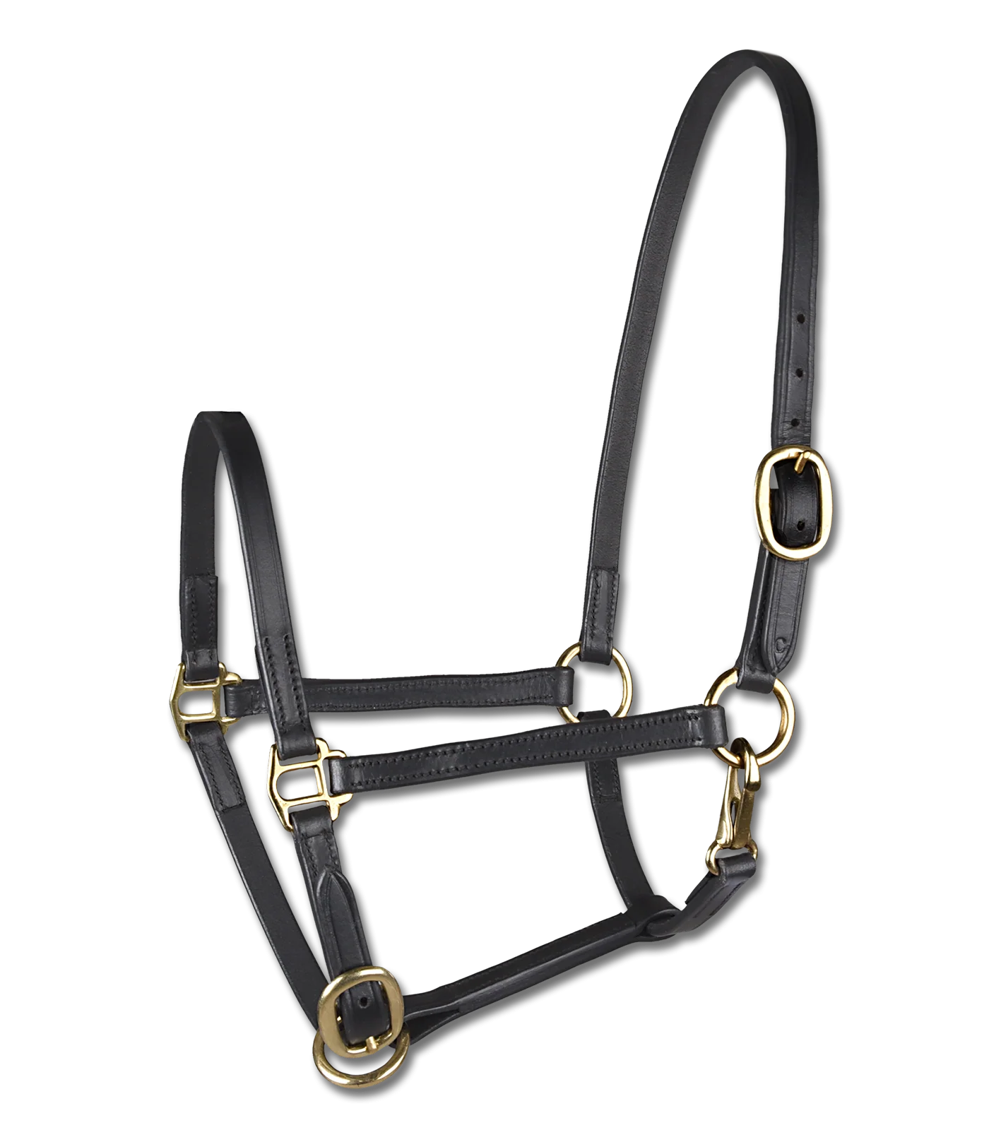STAR Leather Foal Halter