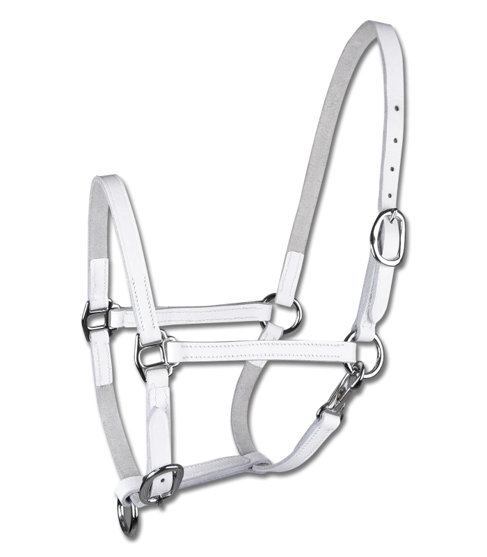 STAR Leather Foal Halter - Image 2