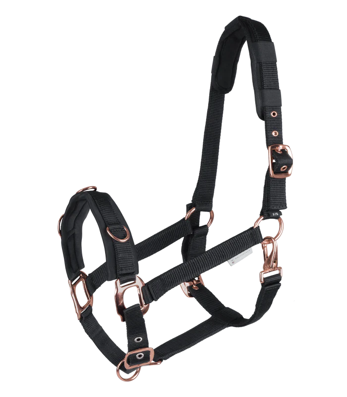 Waldhausen Rosé Lunging Halter