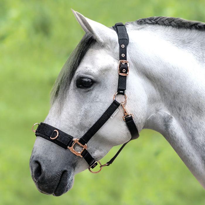 Waldhausen Rosé Lunging Halter - Image 2