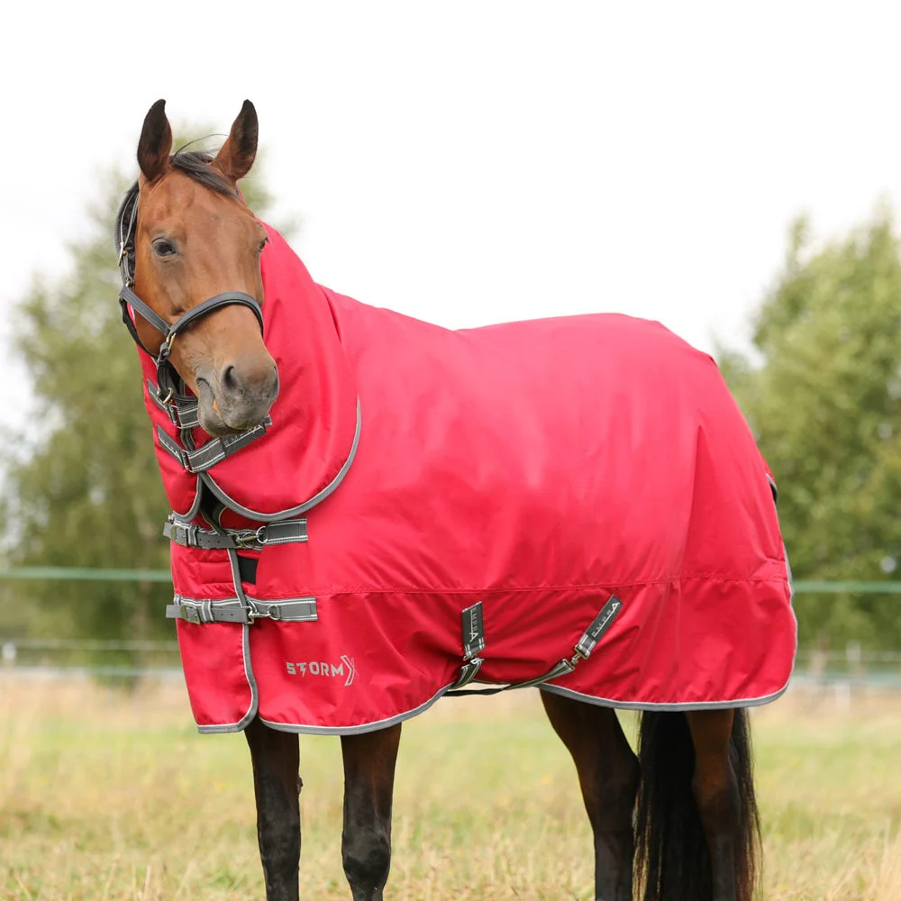 StormX Empra 300g Combi Turnout Rug - Image 2