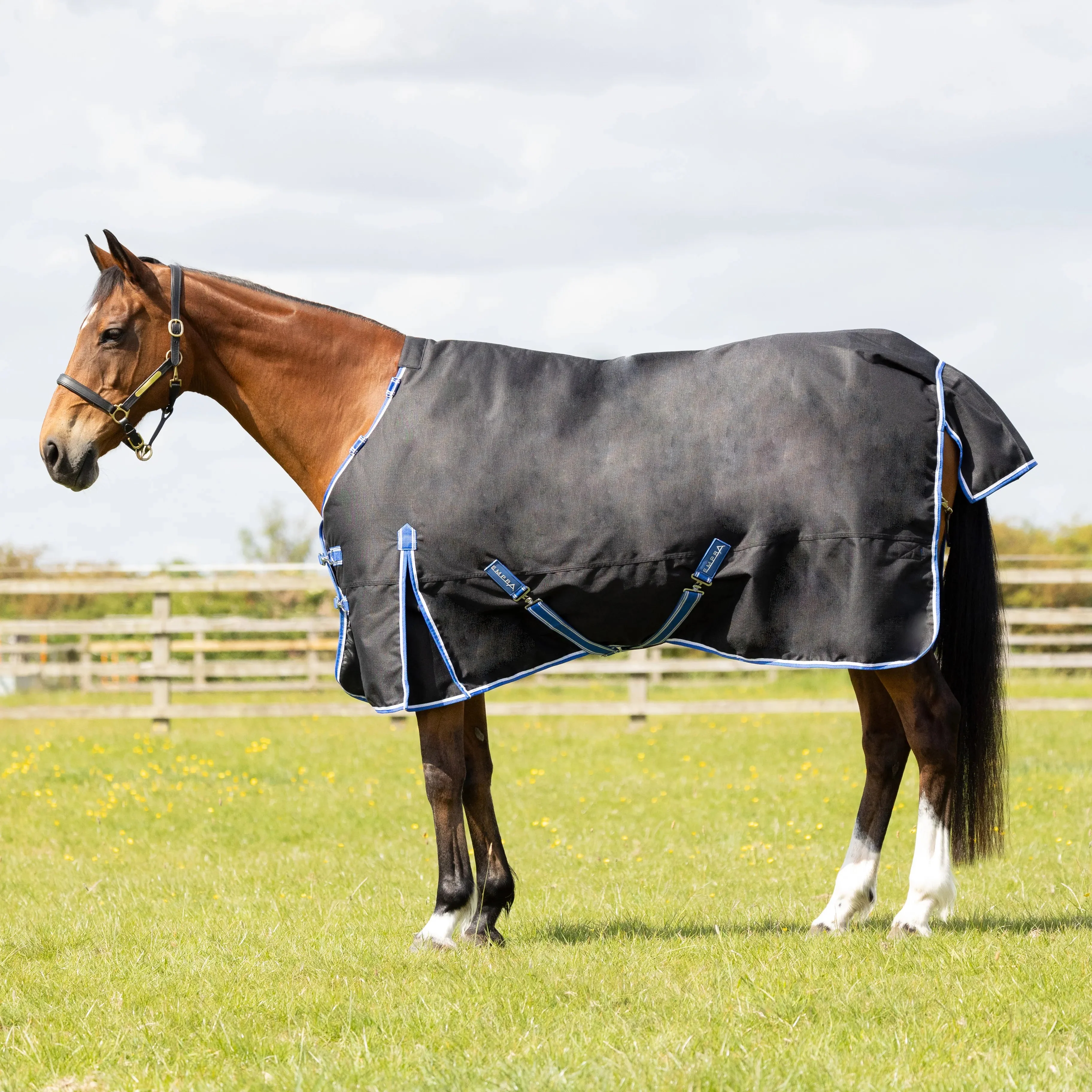 StormX Empra Extra 200g Turnout Rug with Detachable Neck - Image 2