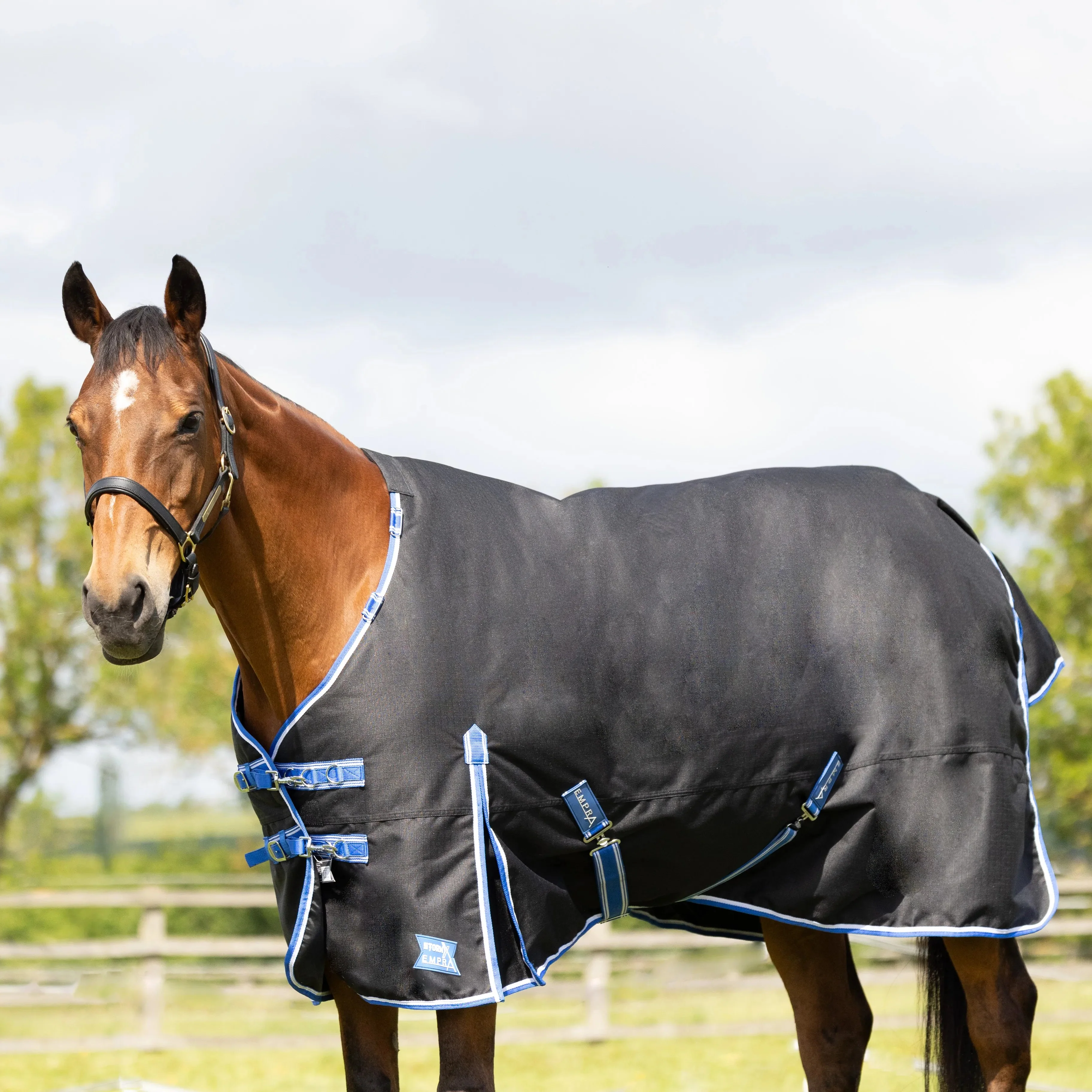 StormX Empra Extra 200g Turnout Rug with Detachable Neck - Image 3