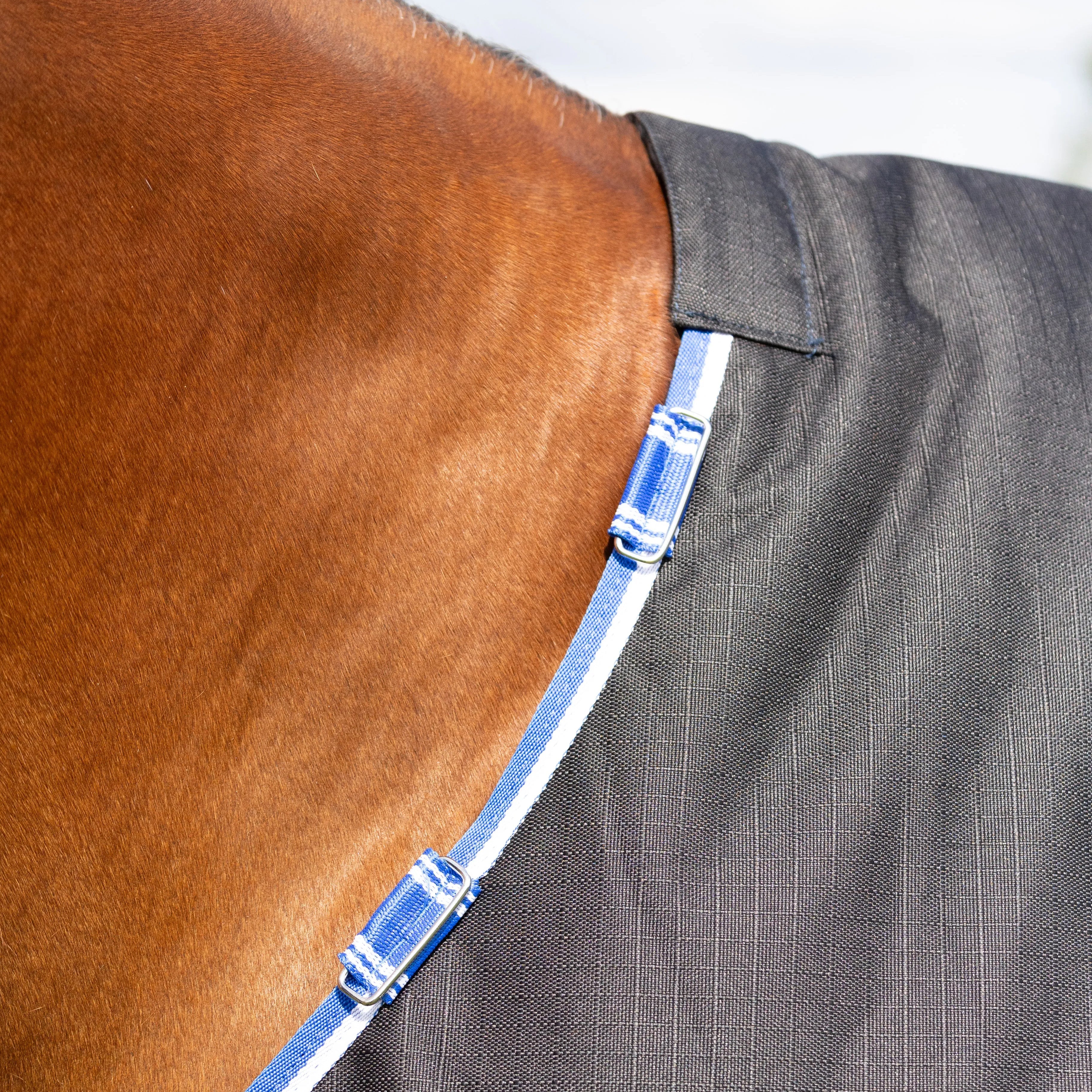StormX Empra Extra 200g Turnout Rug with Detachable Neck - Image 4
