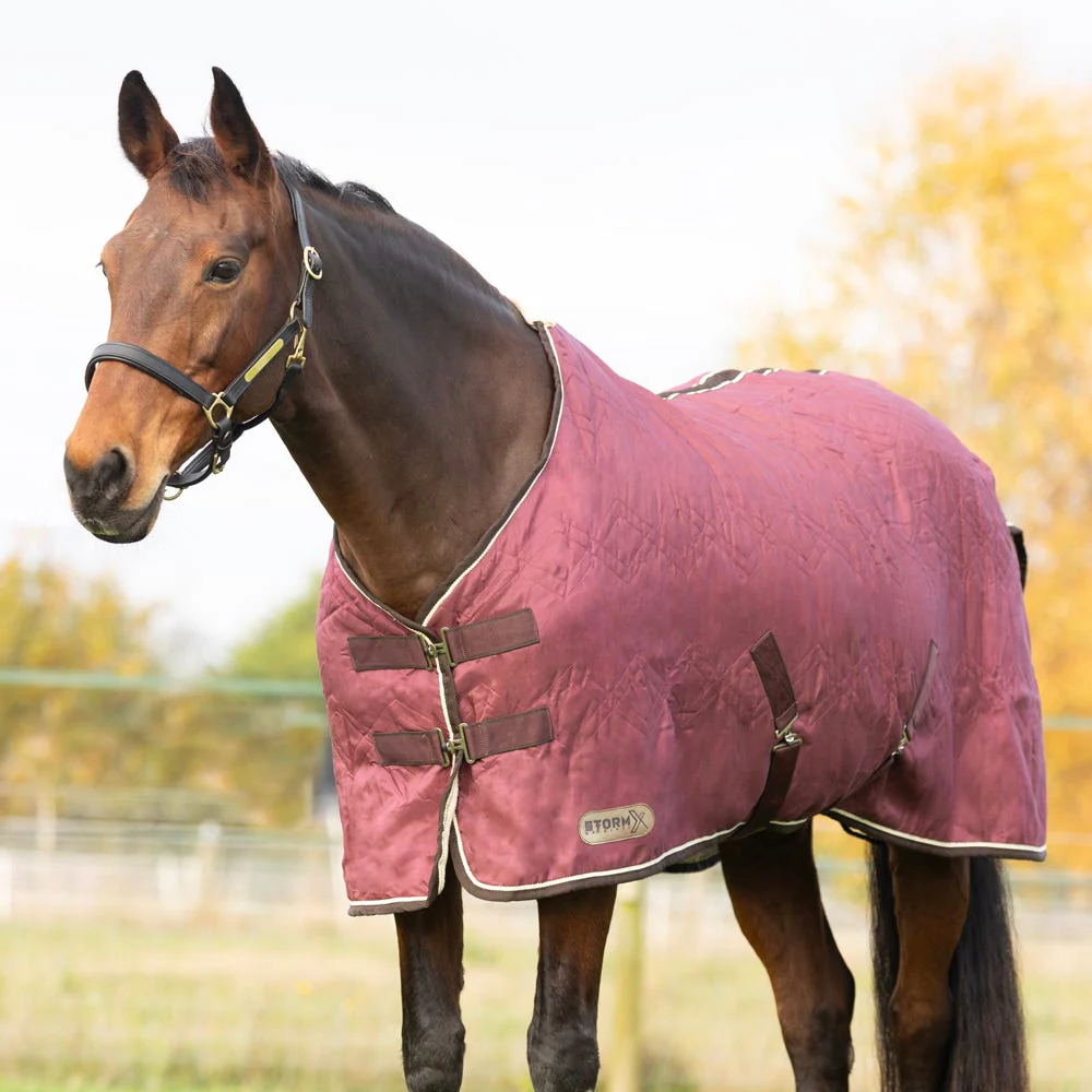 StormX Original Luxury Show Rug - Image 3