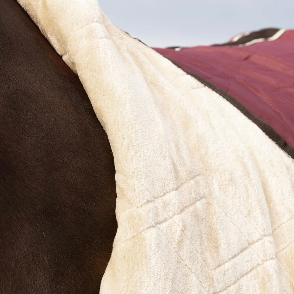 StormX Original Luxury Show Rug - Image 4