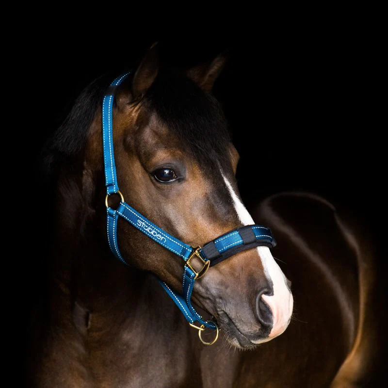 Stubben Stable Halter with Reflecting Thread - Image 2
