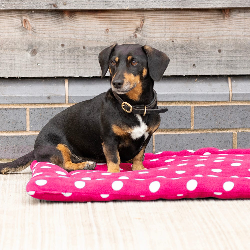 Supreme Products Dotty Fleece Dog Bed - Image 4