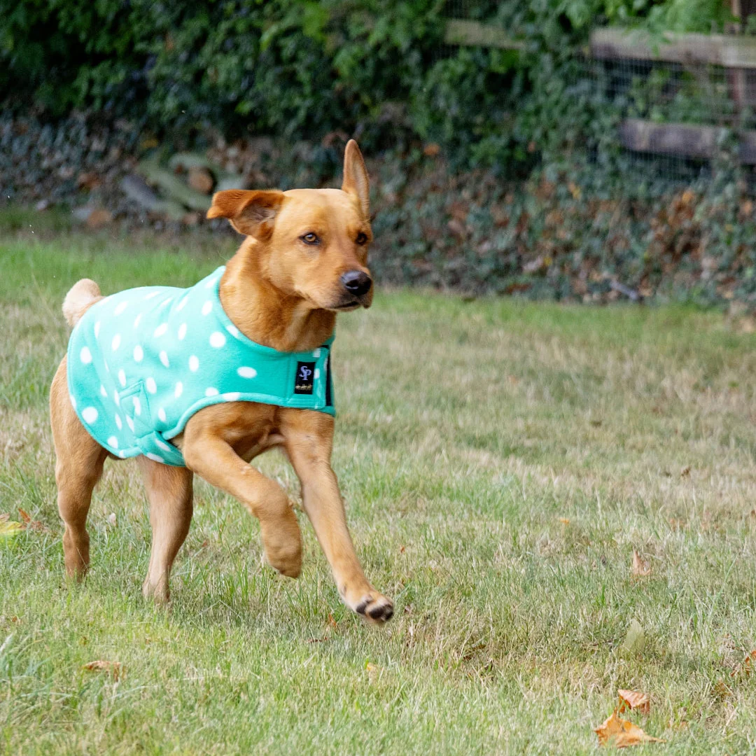 Supreme Products Dotty Fleece Dog Coat - Image 4