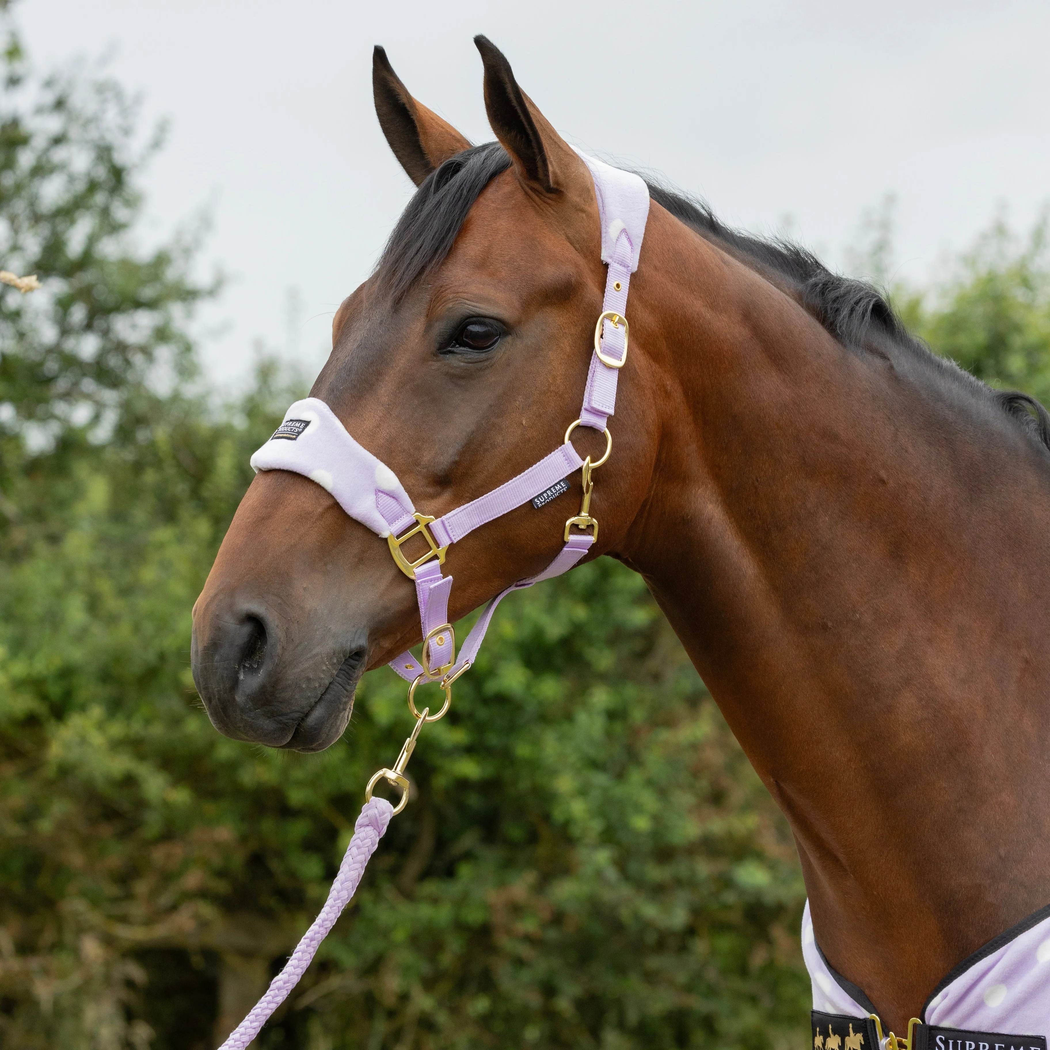 Supreme Products Dotty Fleece Head Collar & Lead Rope - Image 4