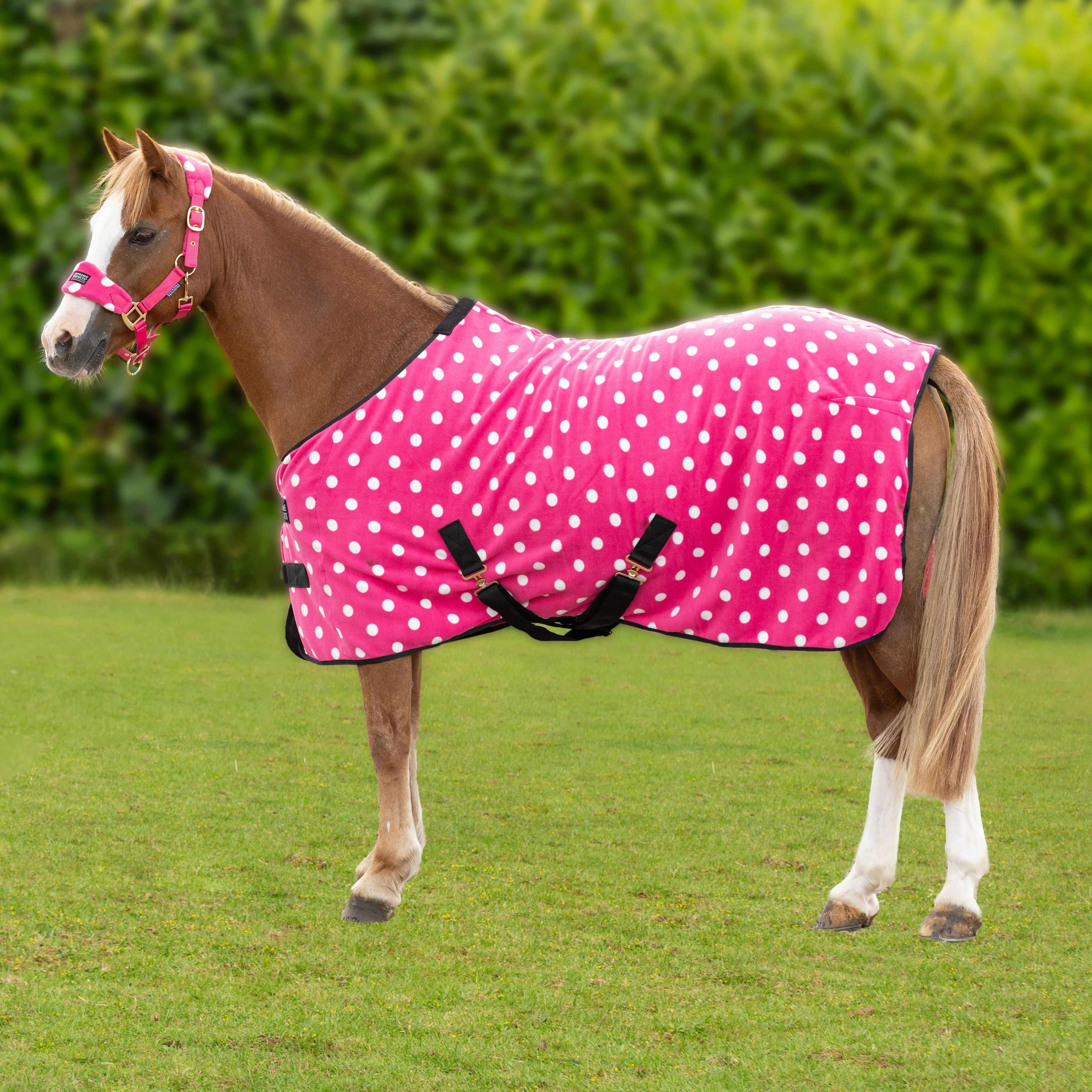 Supreme Products Dotty Fleece Rug - Image 4