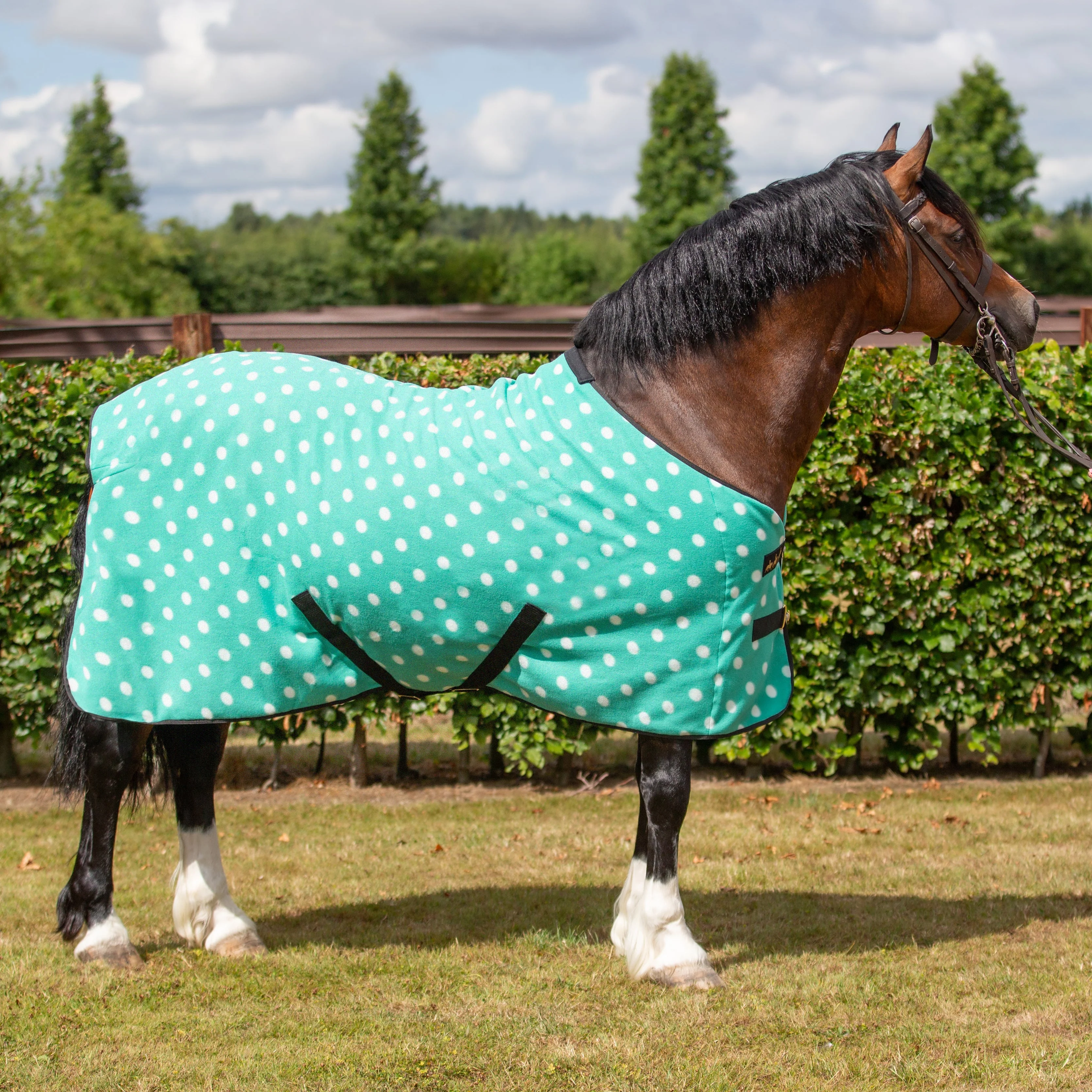 Supreme Products Dotty Fleece Rug - Image 5
