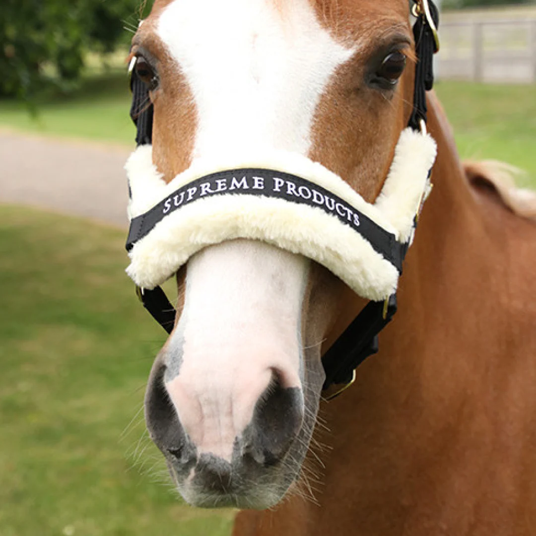 Supreme Products Royal Occasion Head Collar - Image 4