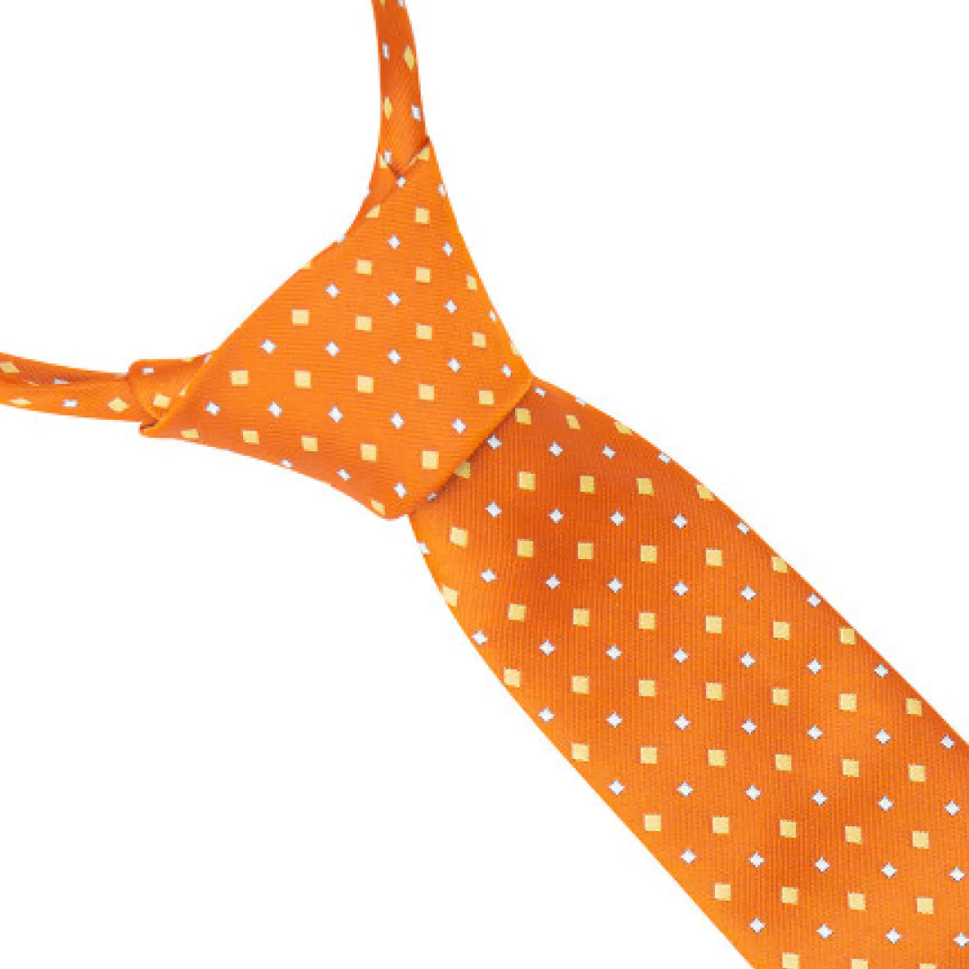Supreme Products Show Tie - Image 10