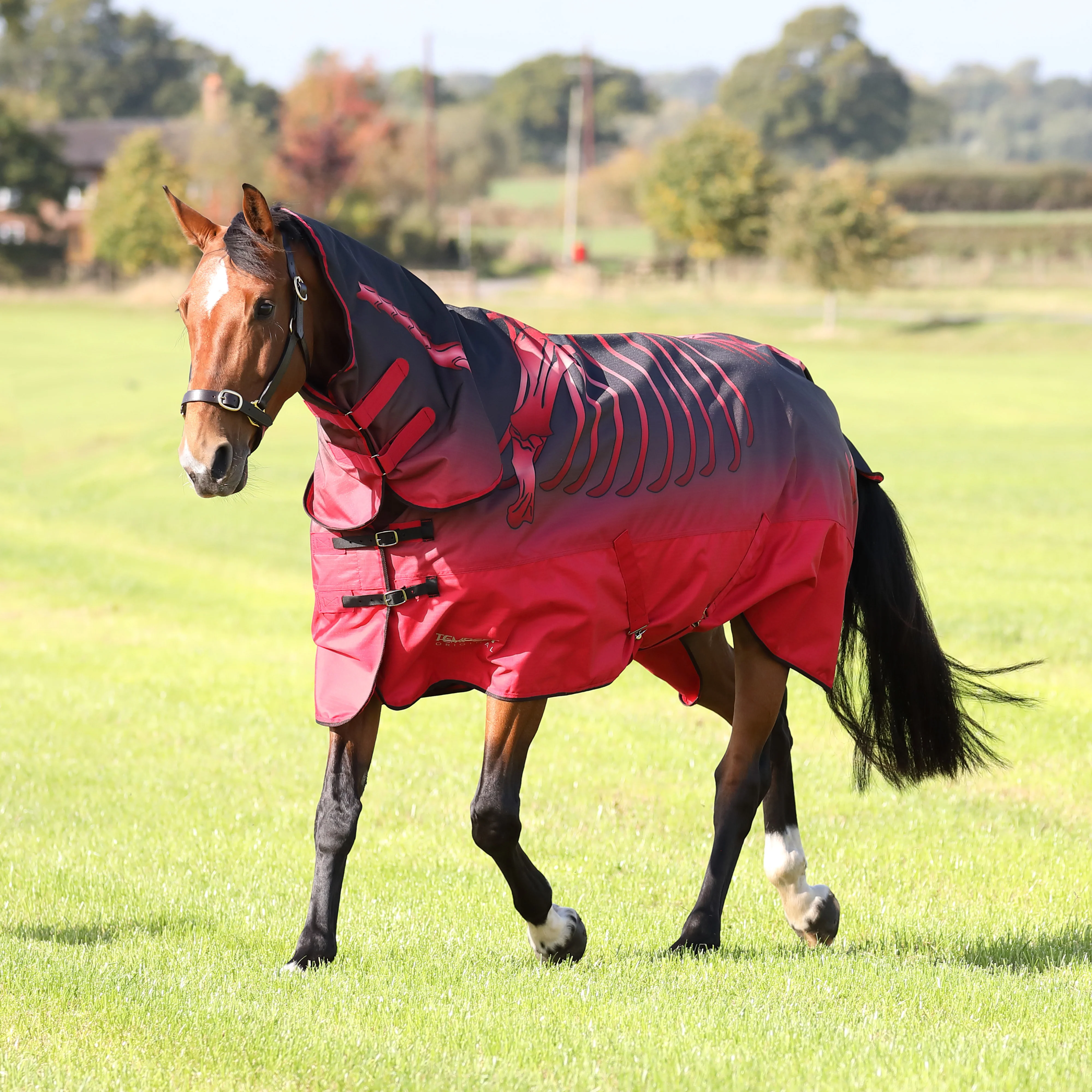 Shires Tempest Original 100g Turnout Combo Rug - Image 9