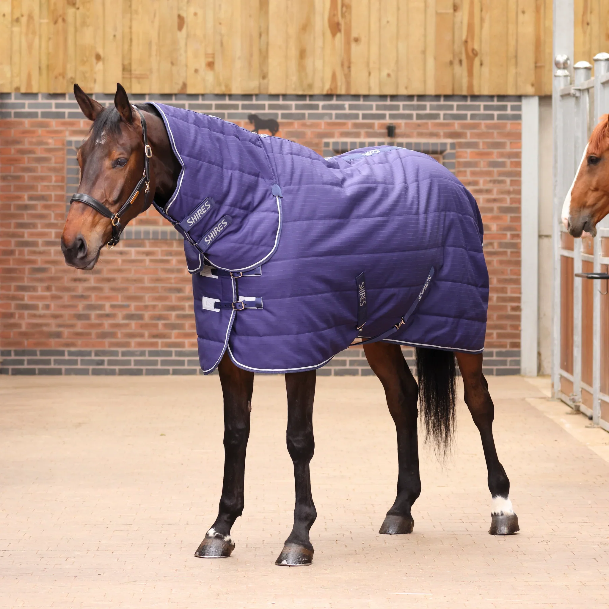 Shires Tempest Original 100g Stable Combo Rug