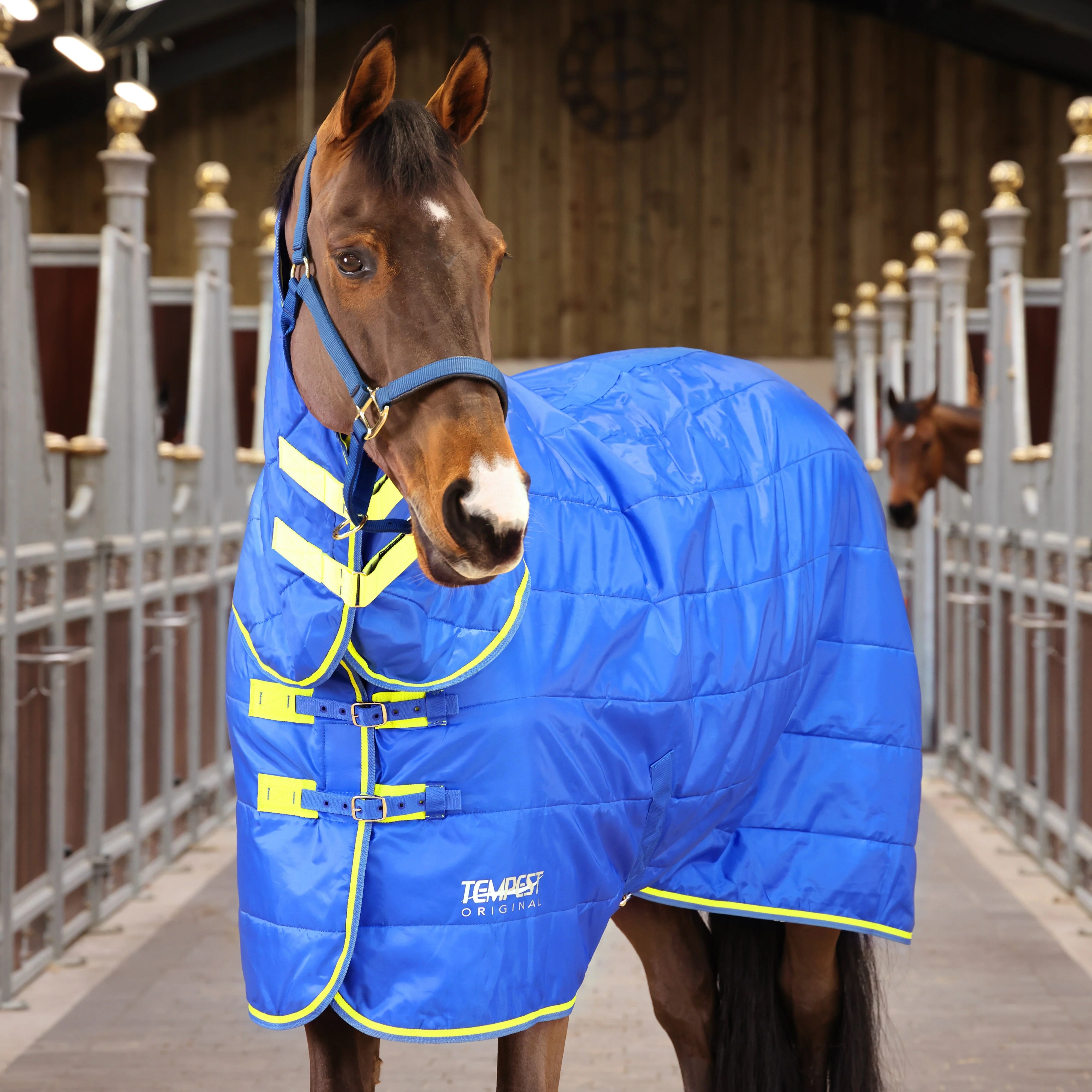 Shires Tempest Original 100g Stable Combo Rug - Image 7