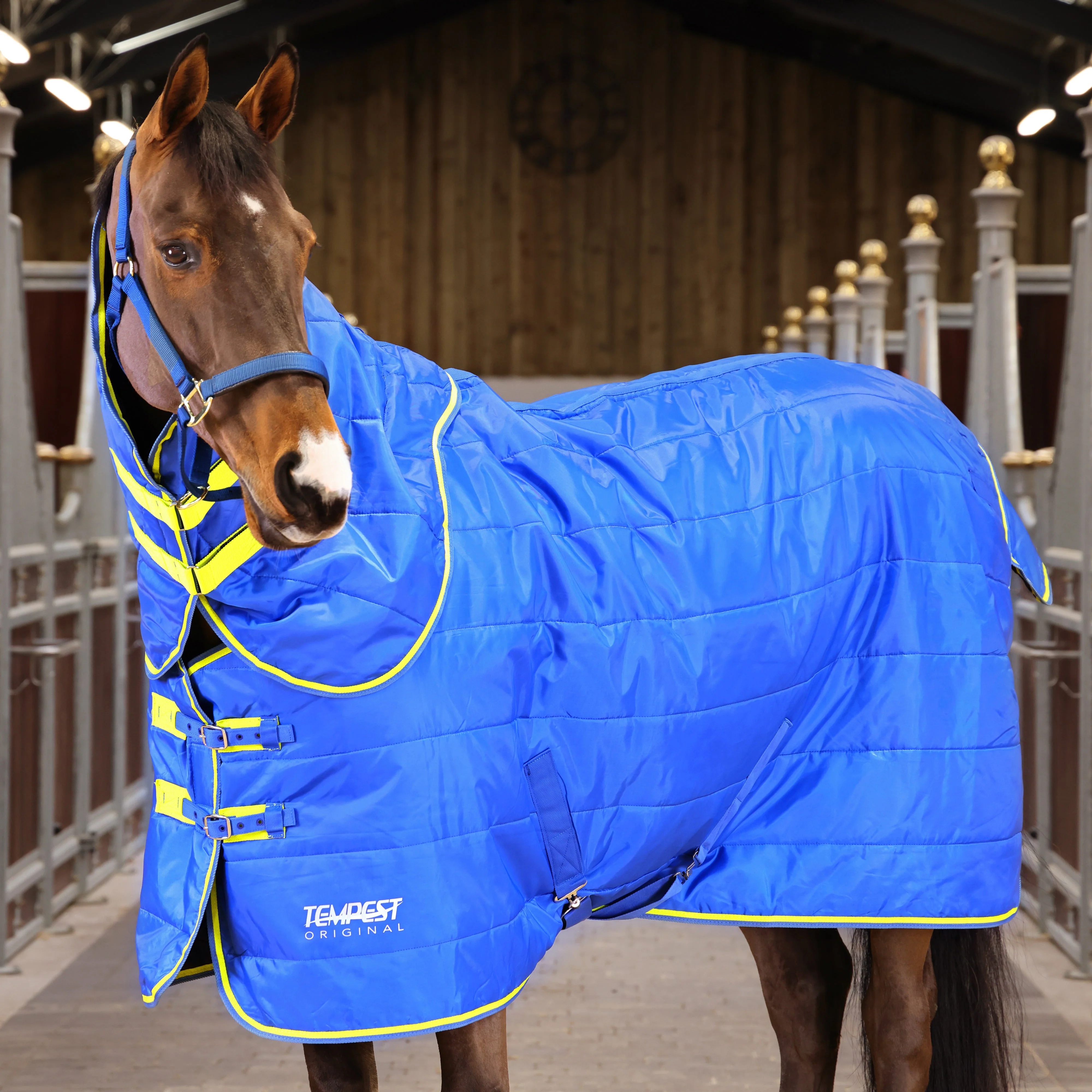 Shires Tempest Original 100g Stable Set