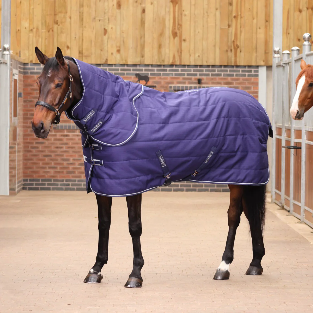 Shires Tempest Original 100g Stable Set - Image 2