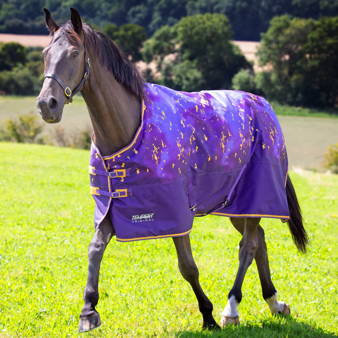 Shires Tempest Original 100g Turnout Rug - Image 14