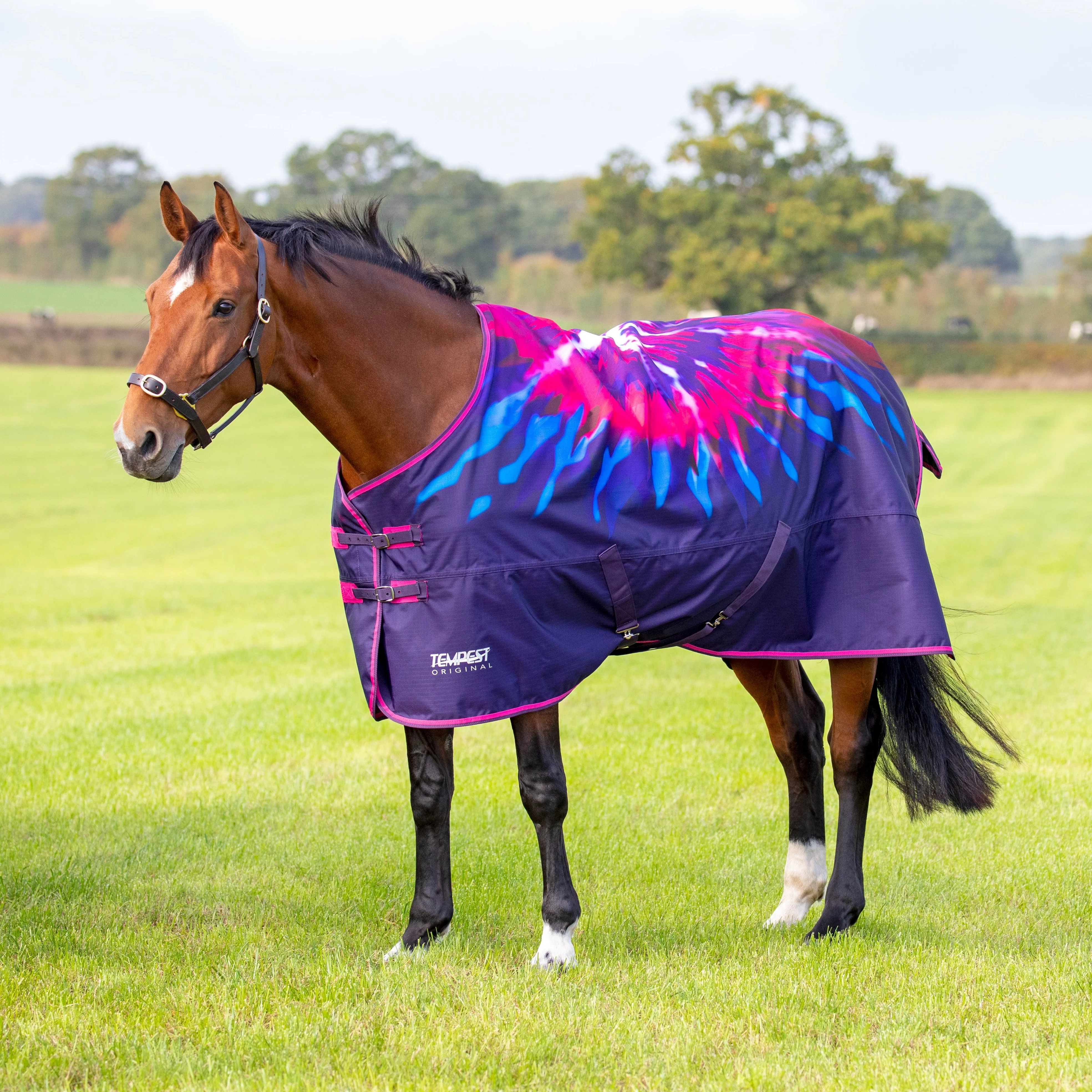 Shires Tempest Original 100g Turnout Rug - Image 9