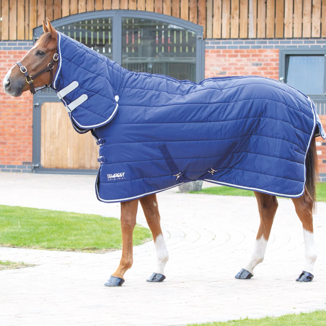 Shires Tempest Original 200 Stable Combo