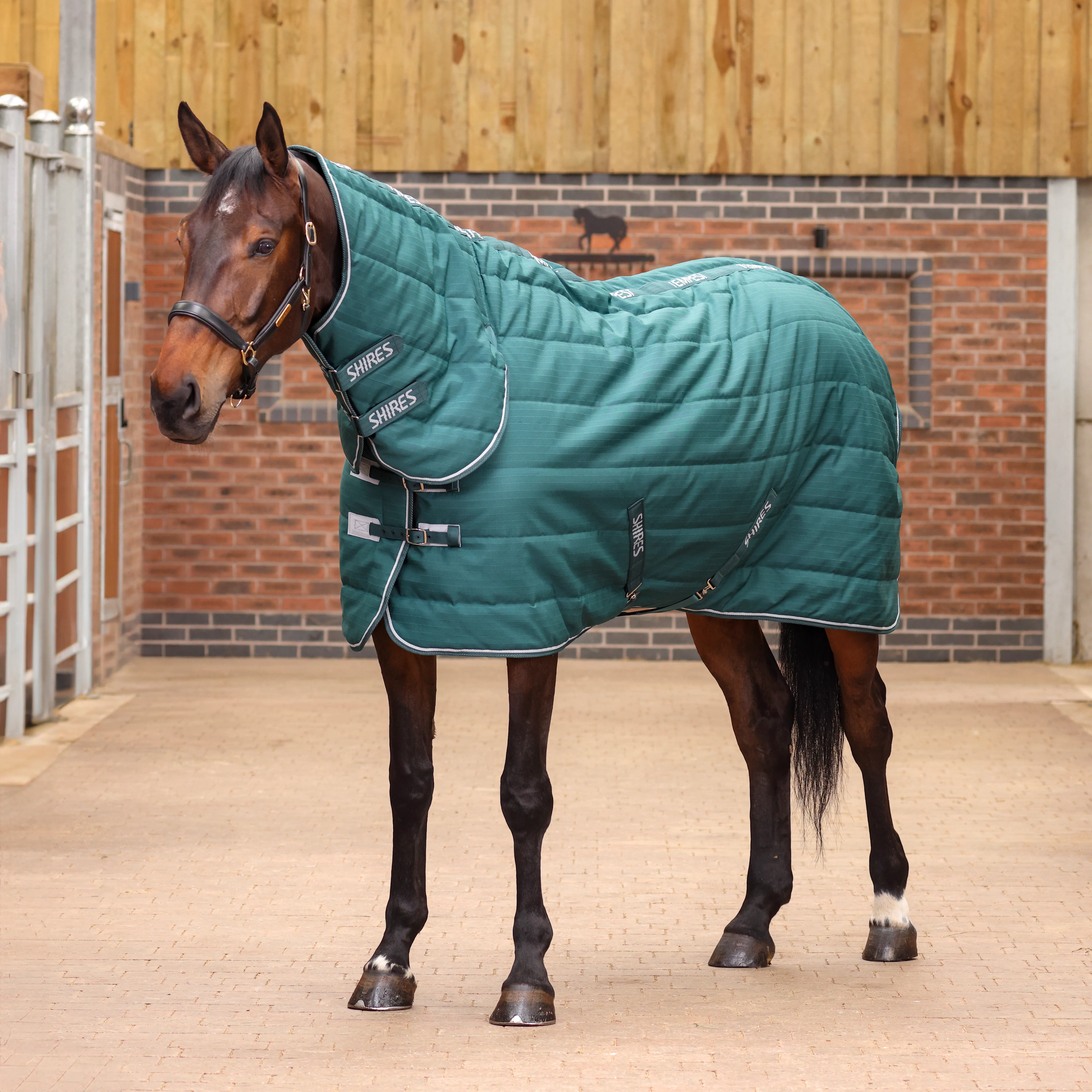 Shires Tempest Original 200 Stable Combo - Image 2