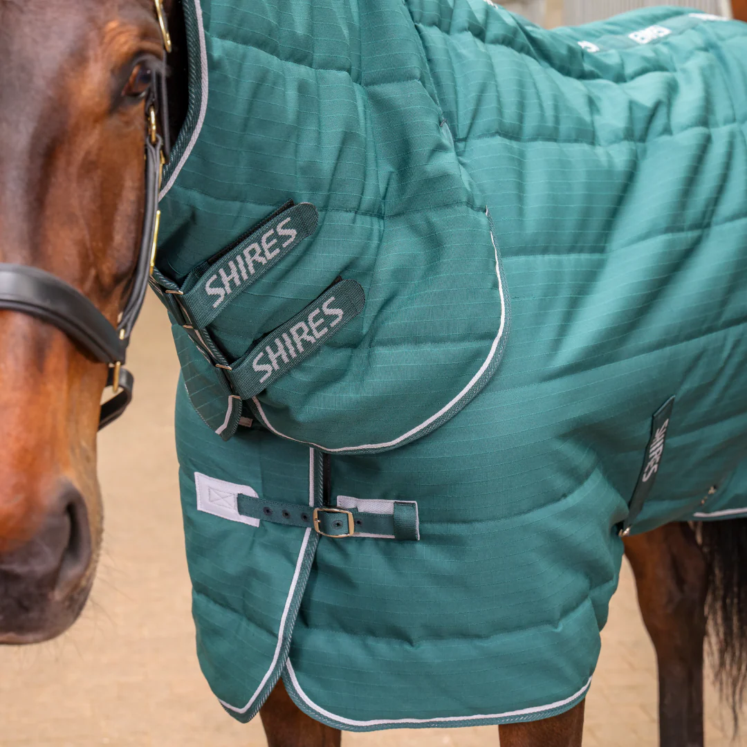 Shires Tempest Original 200 Stable Combo - Image 3