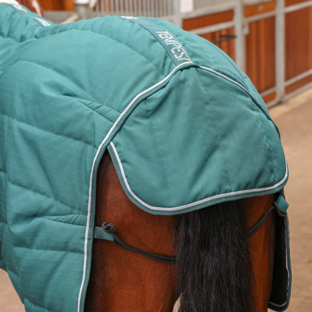 Shires Tempest Original 200 Stable Combo - Image 4