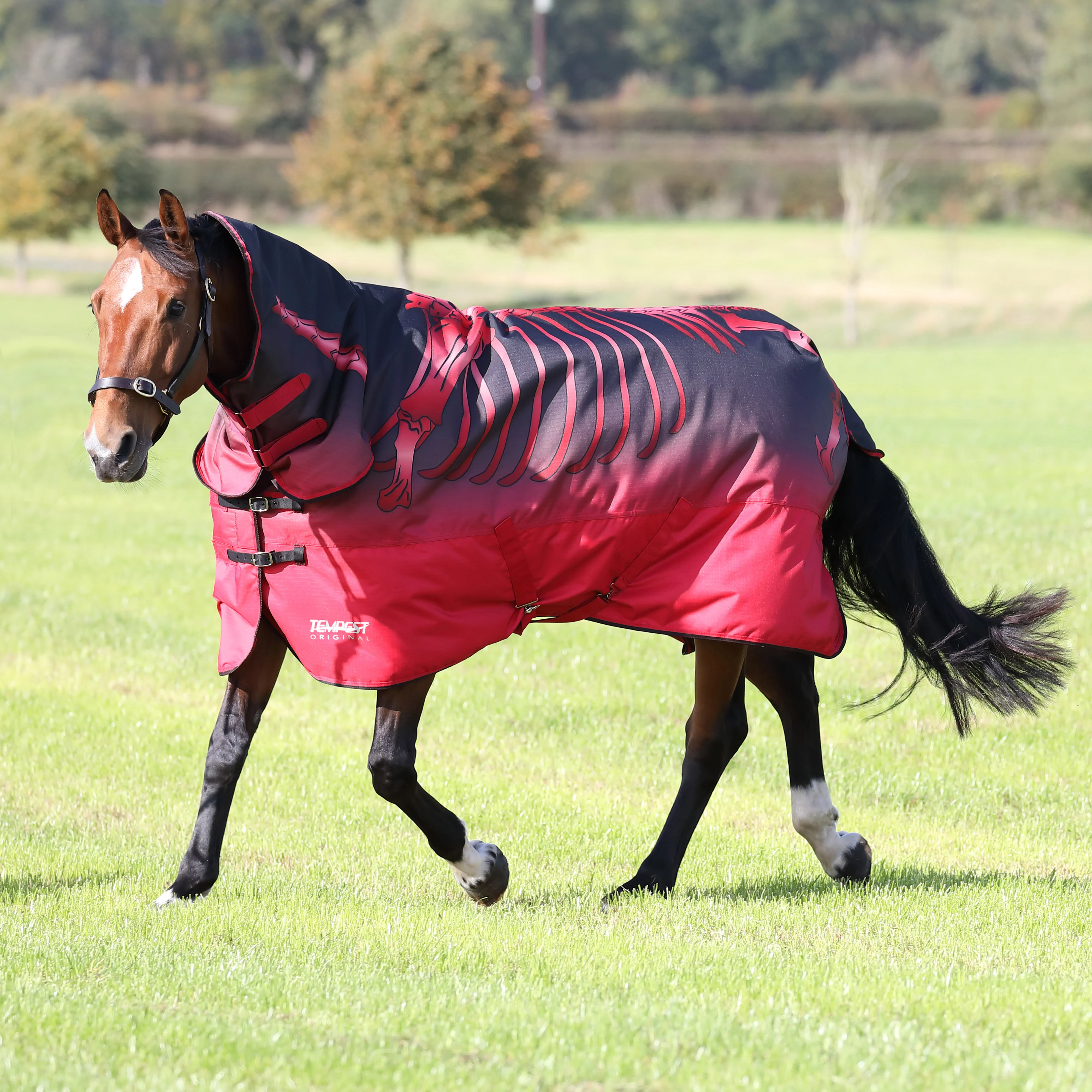 Shires Tempest Original 200g Turnout Combo - Image 5