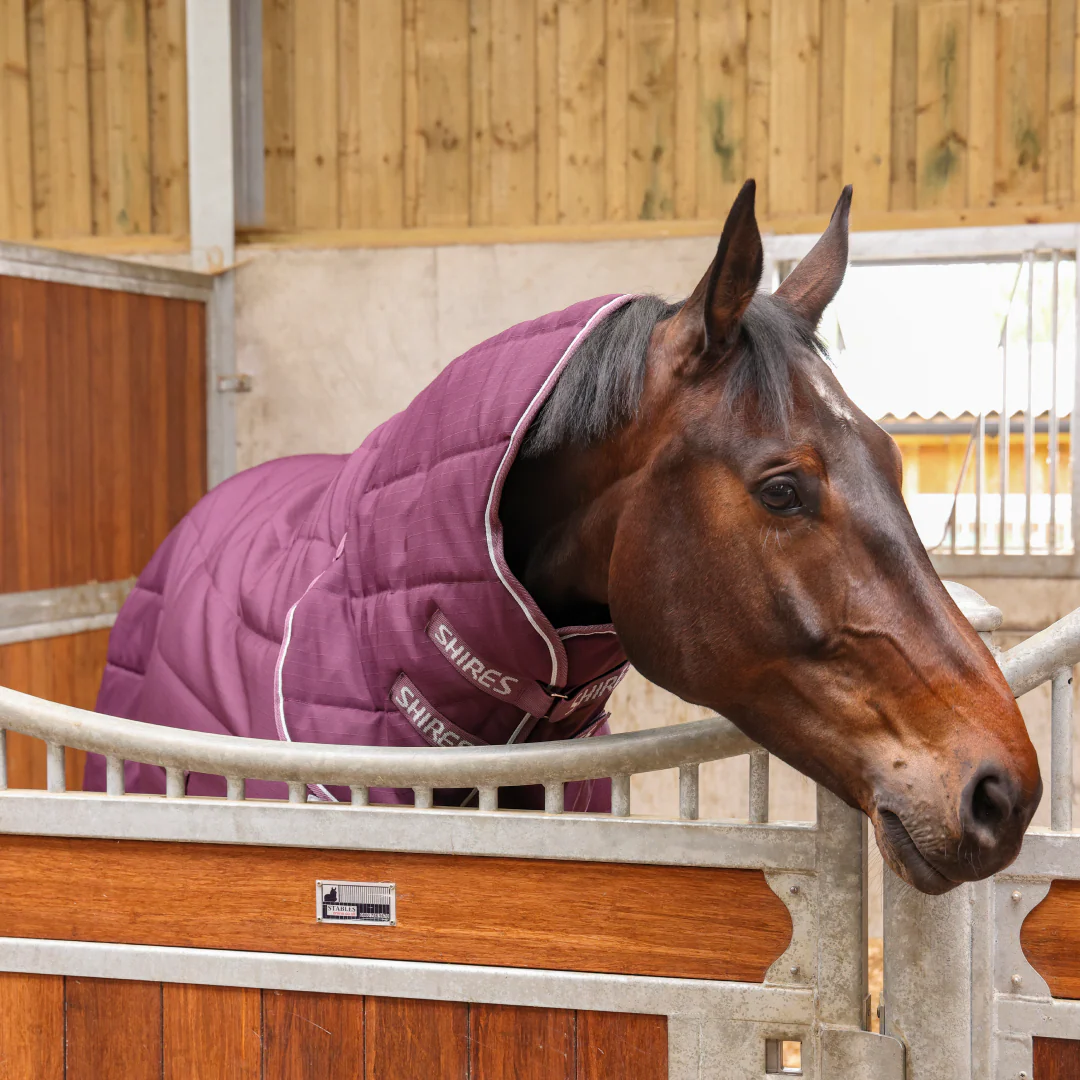 Shires Tempest Original 300 Stable Combo - Image 2