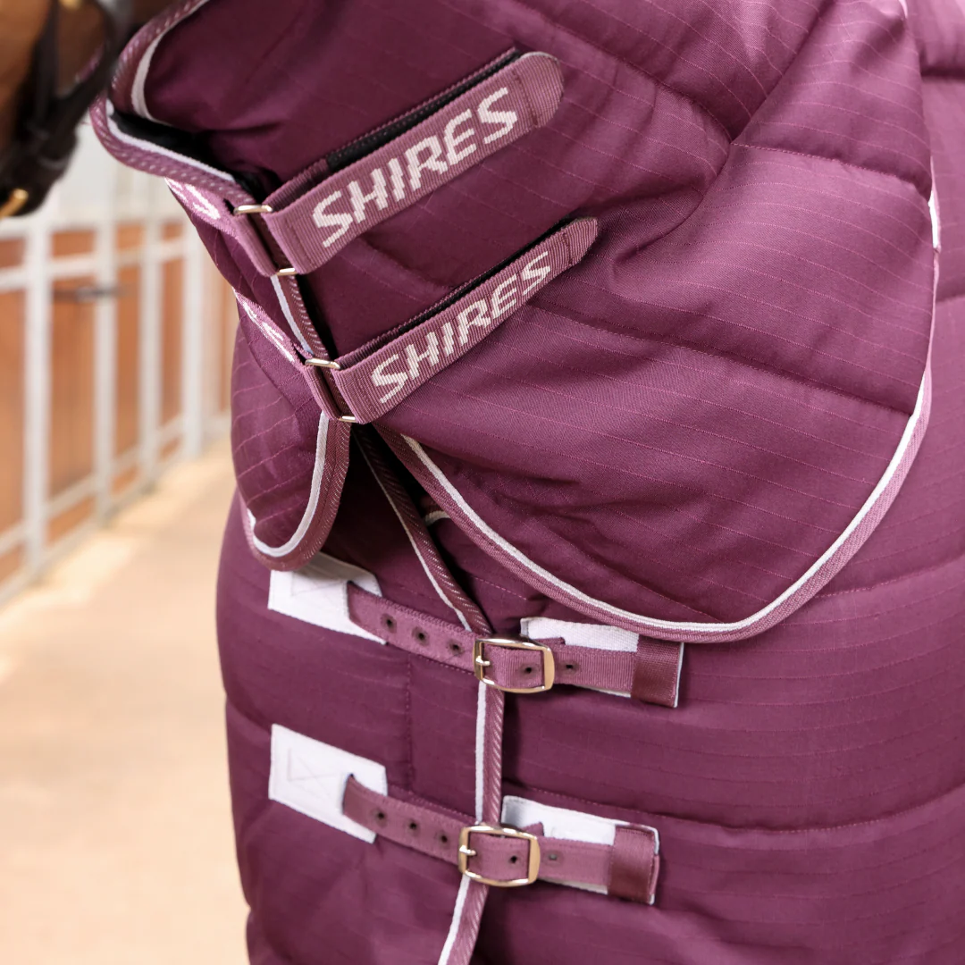 Shires Tempest Original 300 Stable Combo - Image 3
