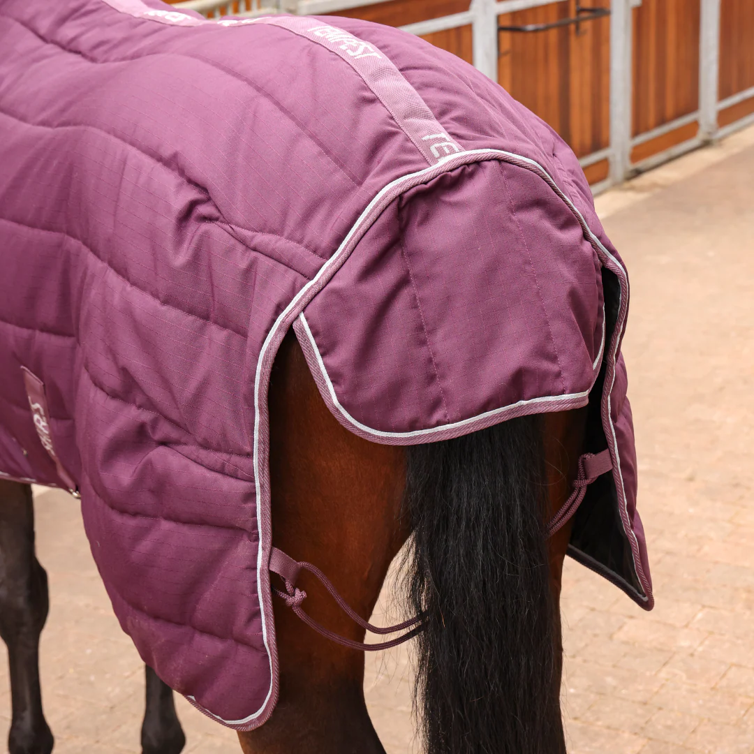 Shires Tempest Original 300 Stable Combo - Image 4