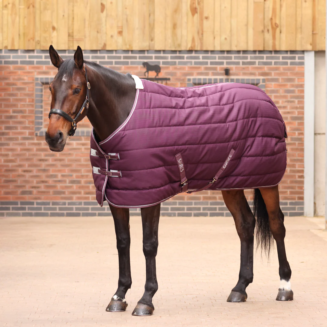 Shires Tempest Original 300g Stable Rug - Image 2