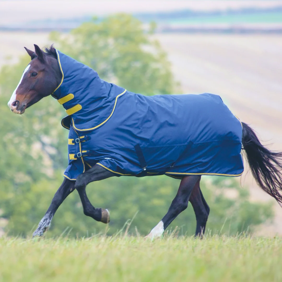 Shires Tempest Original 300g Turnout Rug with Detachable Neck - Image 3