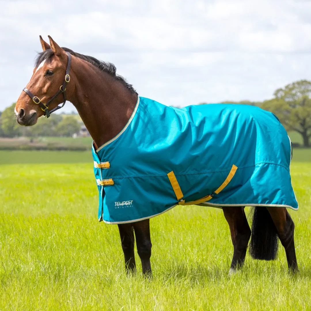 Shires Tempest Original 50g Turnout Rug
