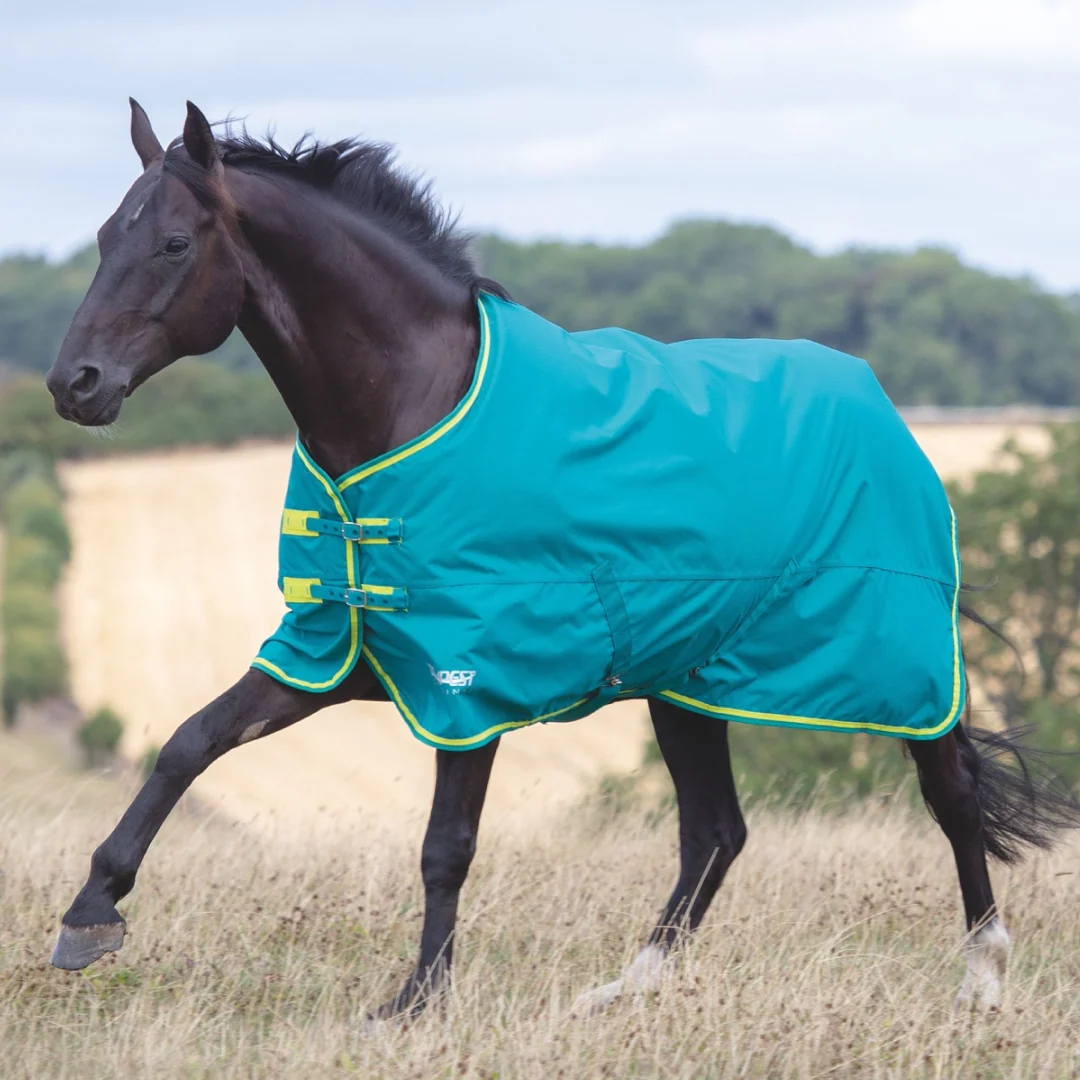 Shires Tempest Original 50g Turnout Rug - Image 2