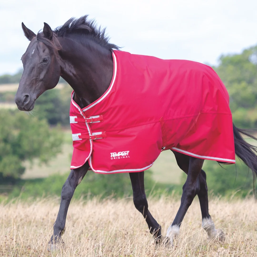 Shires Tempest Original Air Motion Turnout Rug - Image 3