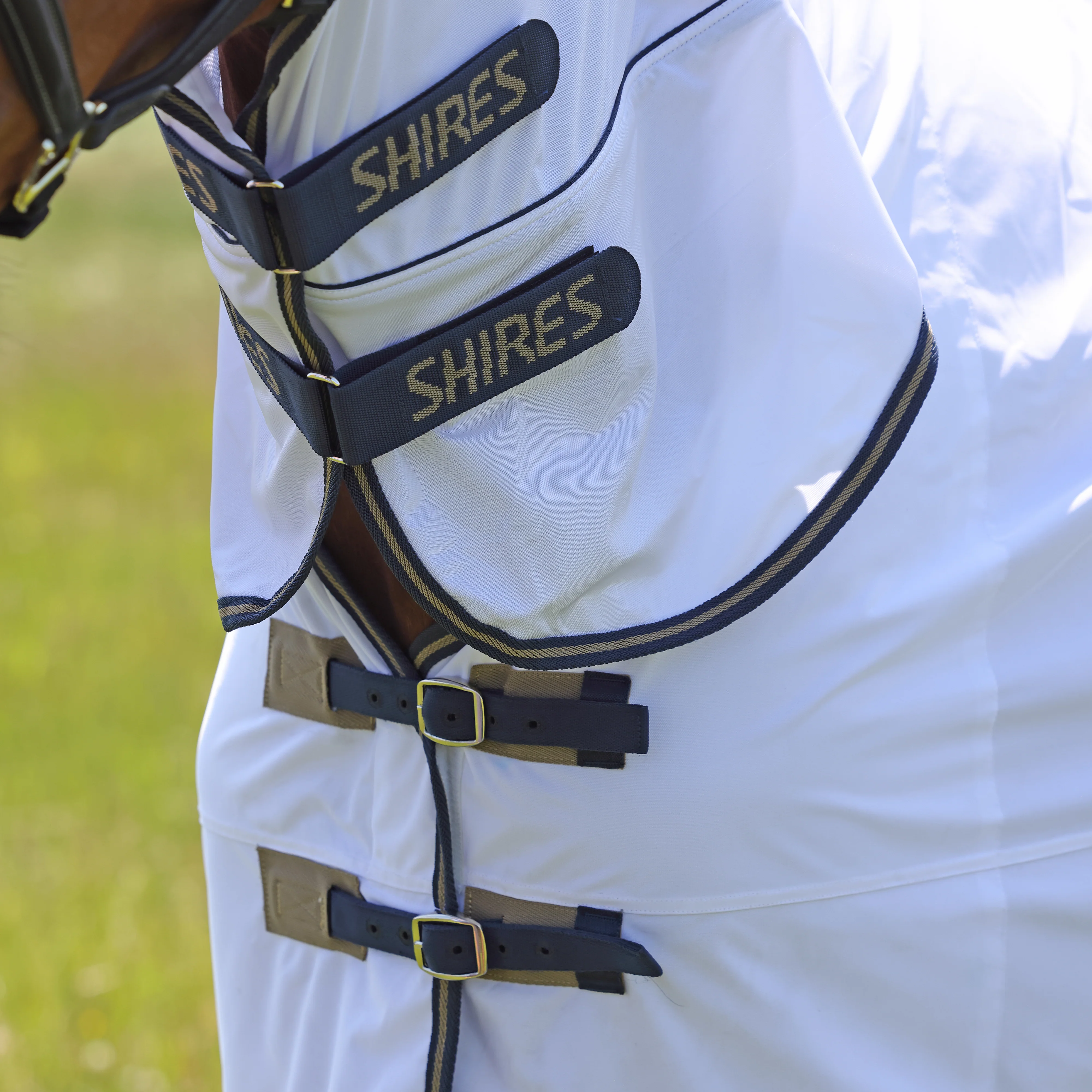 Shires Tempest Original Fly Combo Rug - Image 10