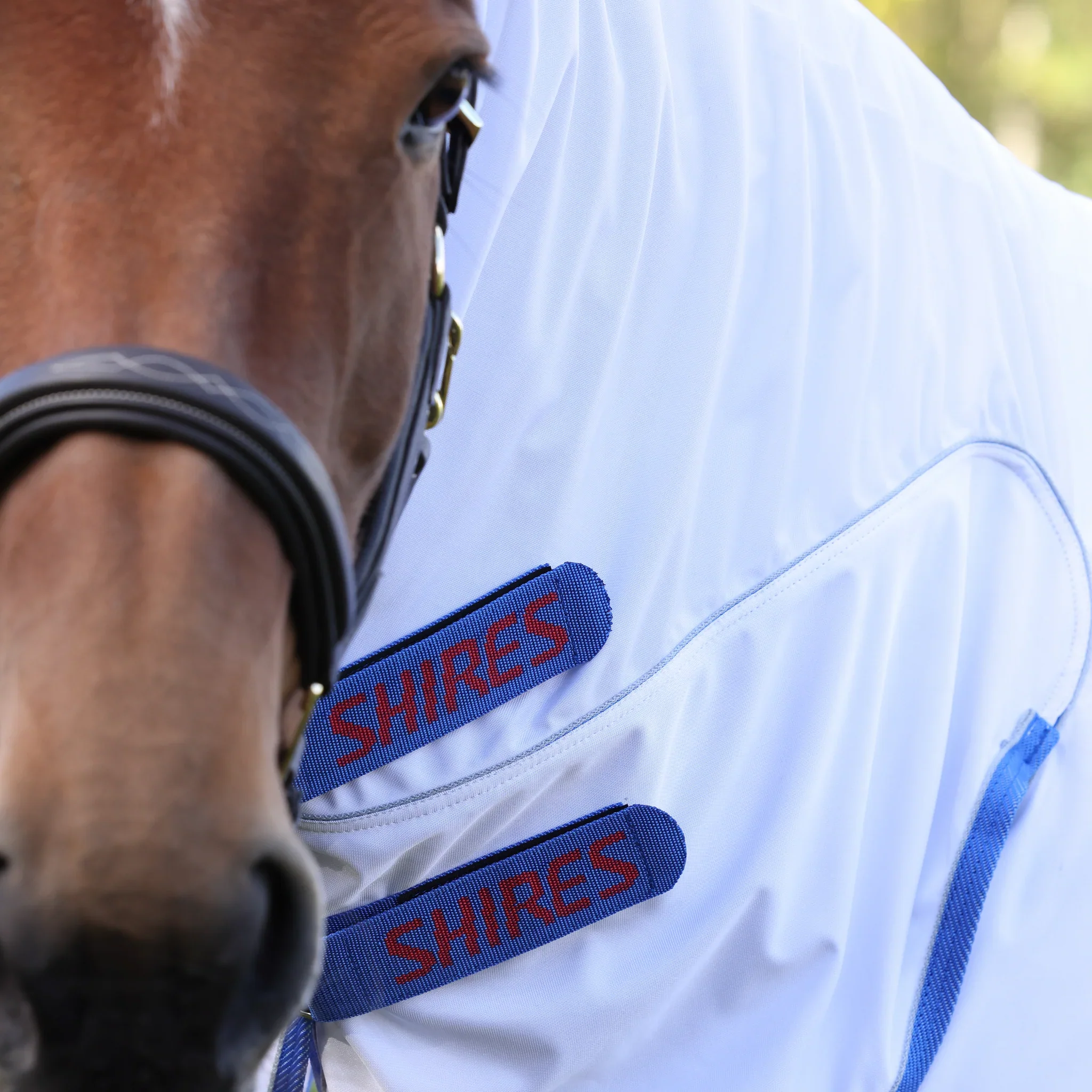 Shires Tempest Original Fly Combo Rug - Image 5
