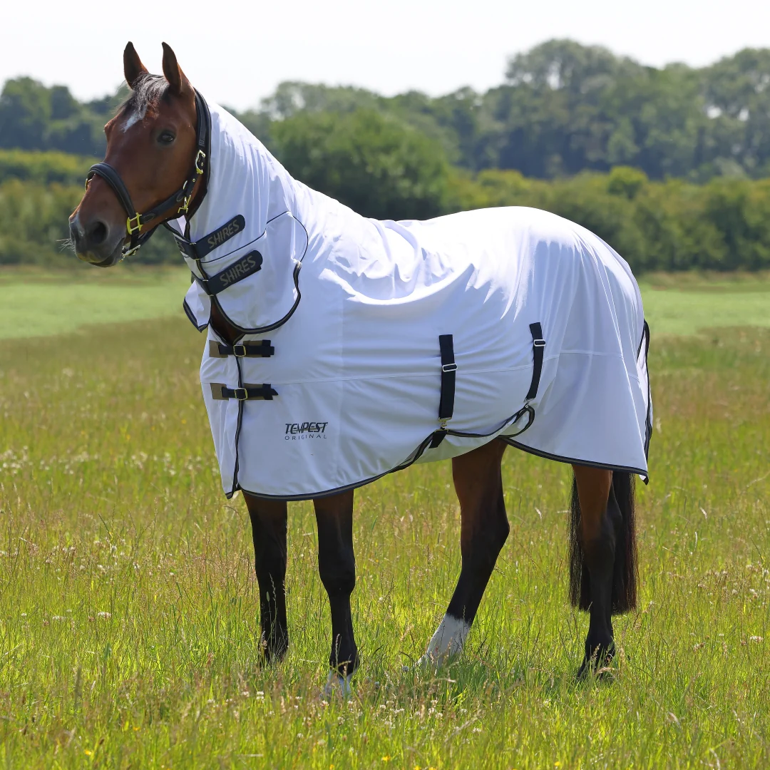 Shires Tempest Original Fly Combo Rug - Image 9
