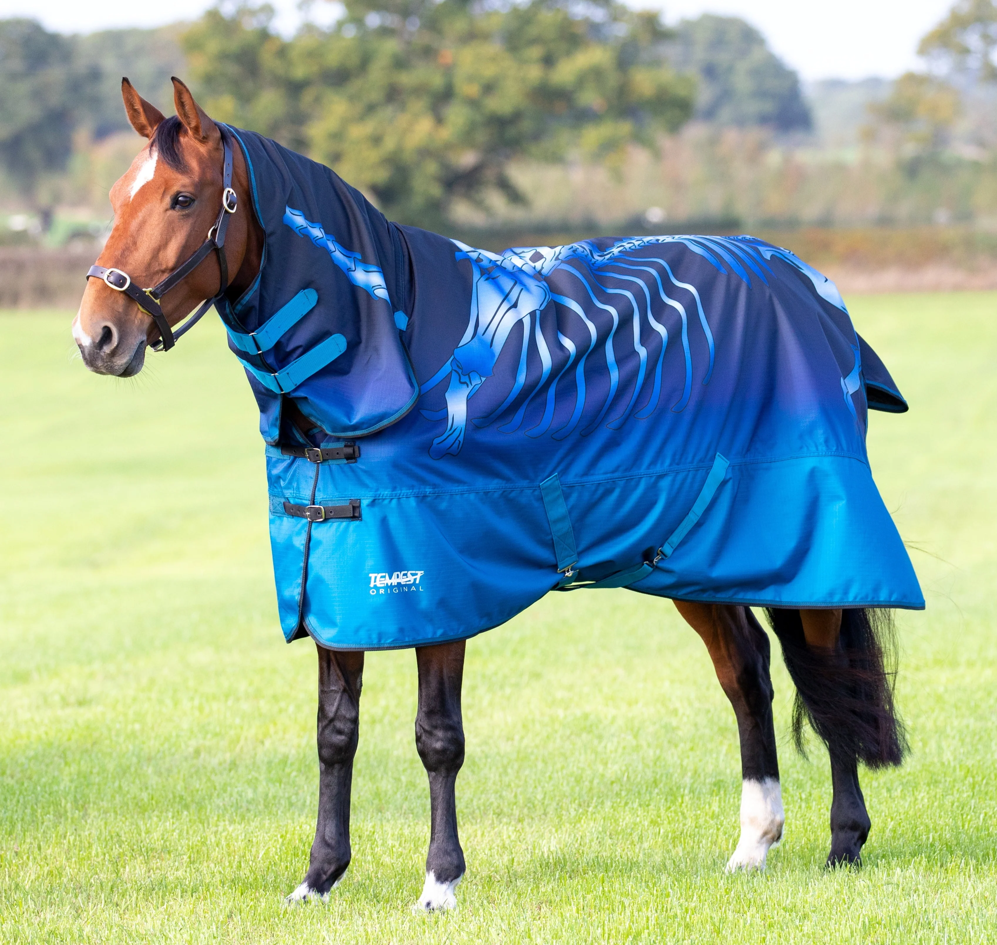 Shires Tempest Original Lite Turnout Combi Rug - Image 12