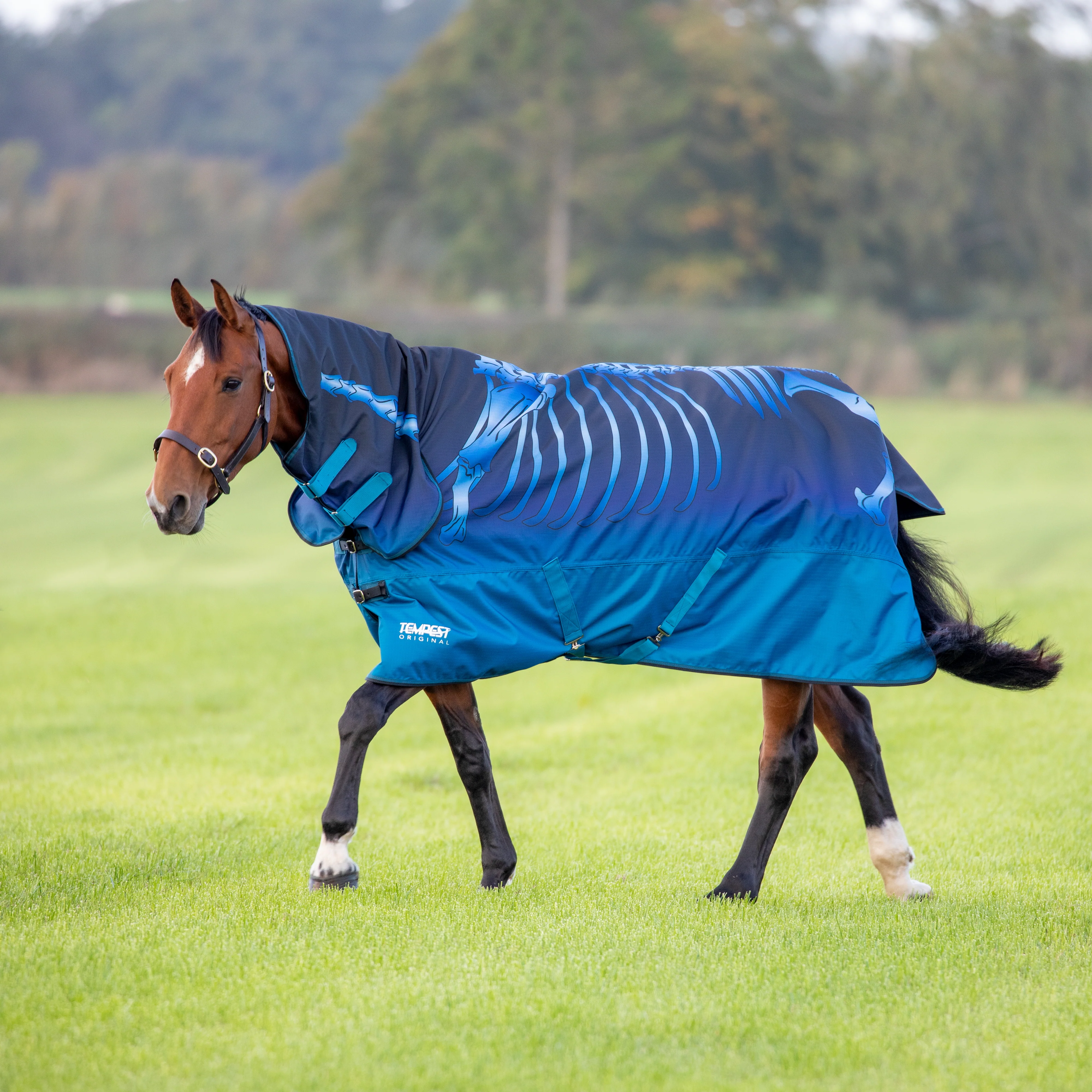 Shires Tempest Original Lite Turnout Combi Rug - Image 13