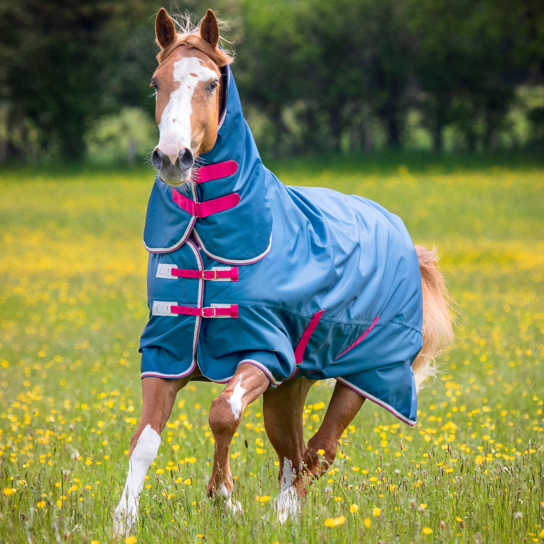 Shires Tempest Original Lite Turnout Combi Rug - Image 2