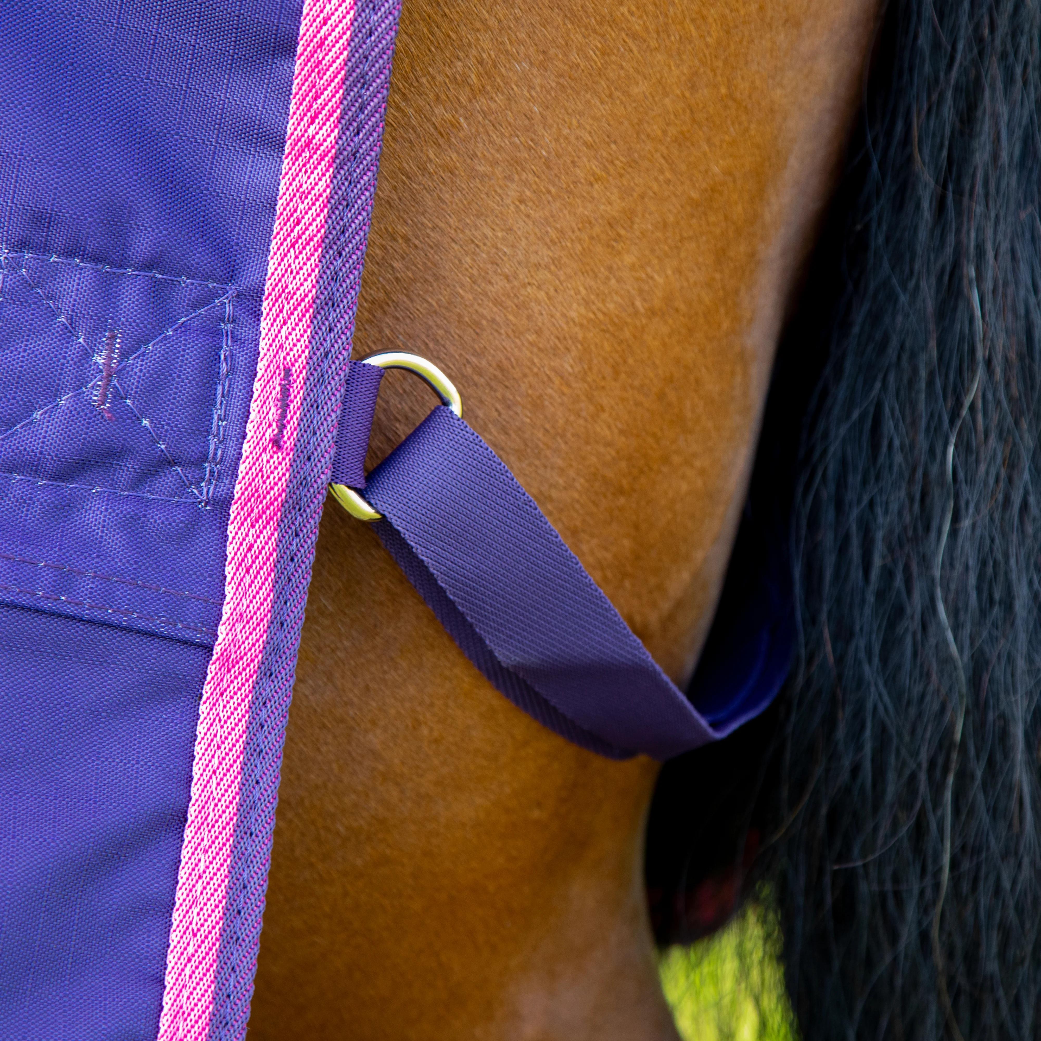 Shires Tempest Original Lite Turnout Rug - Image 15
