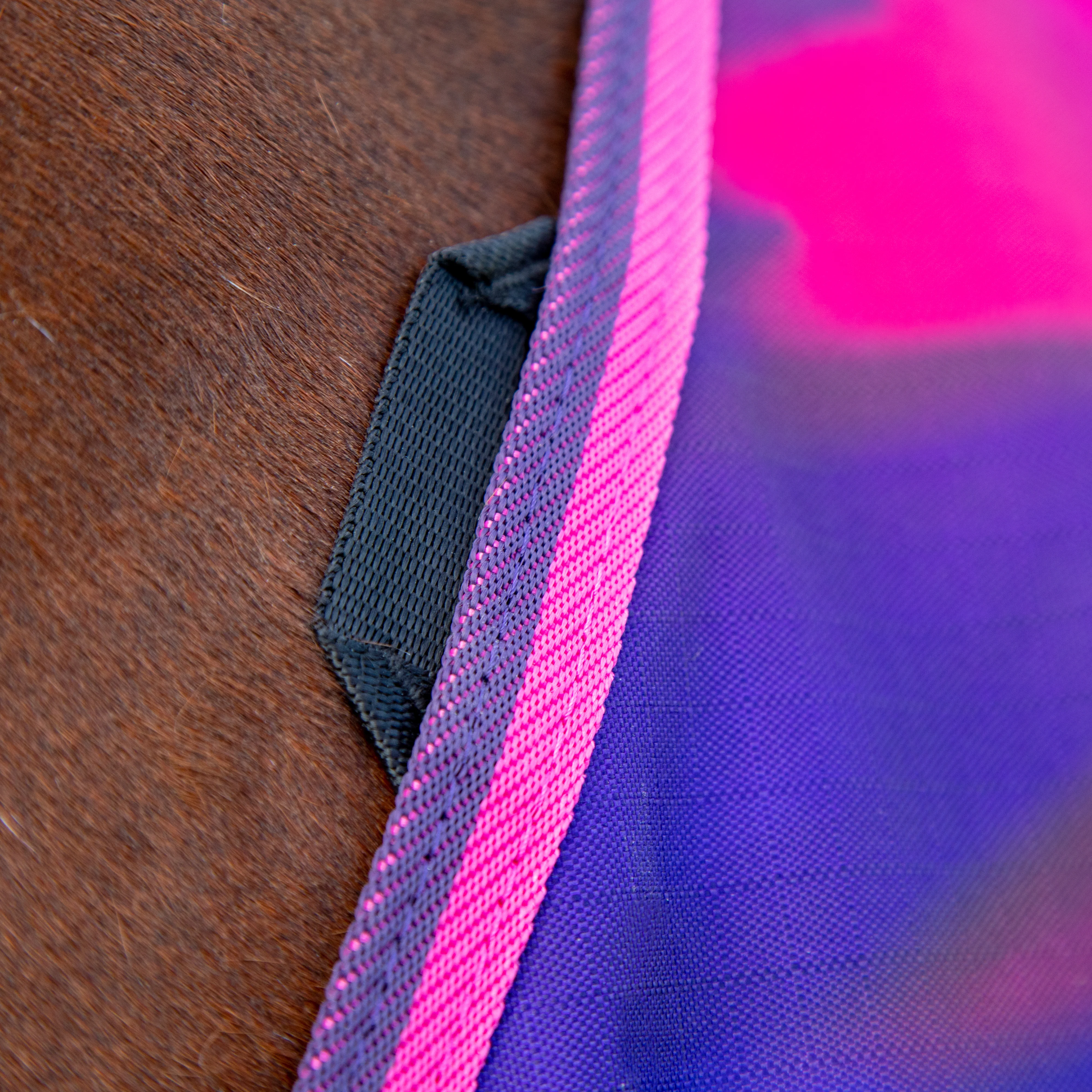 Shires Tempest Original Lite Turnout Rug - Image 17