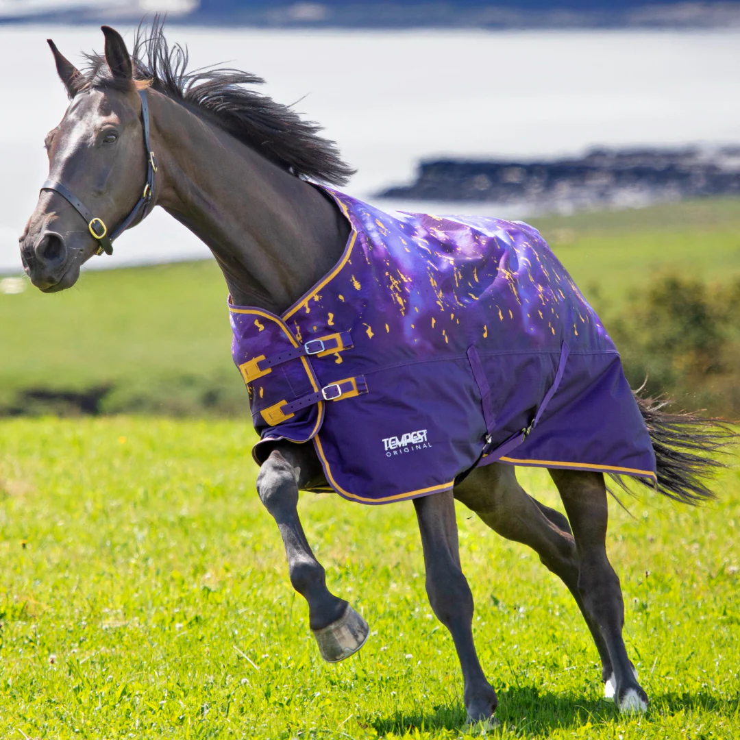 Shires Tempest Original Lite Turnout Rug - Image 7