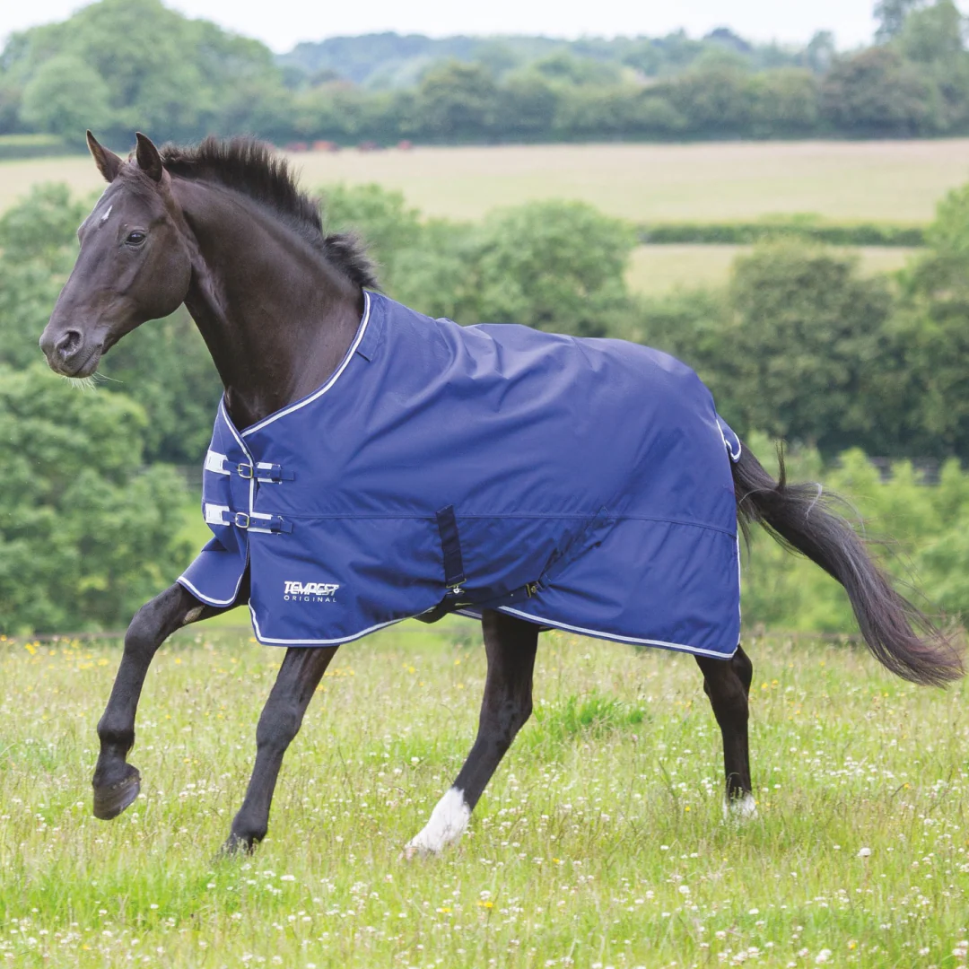 Shires Tempest Original Lite Turnout Rug - Image 9